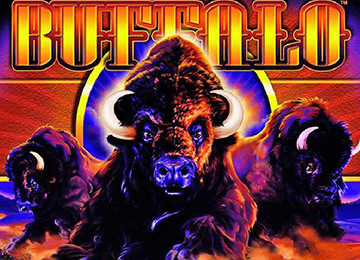 Buffalo Slot Machine